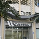 호텔 웨이블런트 양양 | 호텔 웨이블런트 양양 _ 내돈내산 솔직후기