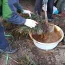 임상호농장 이미지