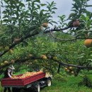 진보농장 이미지