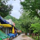 주왕산 한우농장 이미지