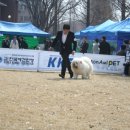 장풍 Daum카페