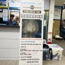 진해해양레포츠센터 강의실 | 진해군항제 요트 체험 진해해양레포츠센터 크루즈 예약 방법 야경 코스 추천