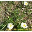 모단농장 이미지