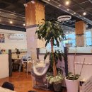 파주파전 이미지