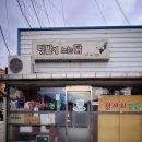 텃밭에노는닭 이미지