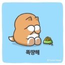 올레카페 네이버블로그