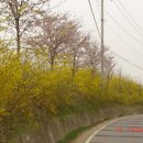 하성상회