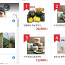 가족사랑 영농조합법인 이미지