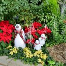 엔젤 식물원 이미지