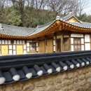 담 Daum카페