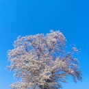 연세멘토학원