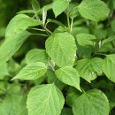 오작교농장 이미지