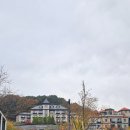 티하우스에덴