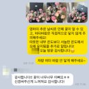 플라워시호 이미지