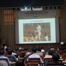 도그인 그레이 이미지