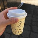 봉우리유치원 | (시즈오카여행 3일차) 남자친구와 두번째 해외여행