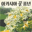 풍년 Daum카페