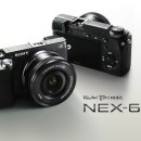 NEX  PC 이미지