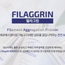 베스트에스지 이미지