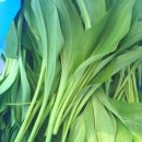 우주부라이프 이미지