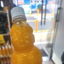 제주순풍신제주본점 | 제주공항 시내 맛집 신제주 보말칼국수 본점 내돈내산 후기