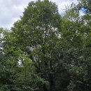 [6편] 2025년9월20일 토요일 매봉산과 남산을 다녀와서! 이미지