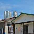 바오왁싱 이미지