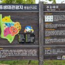 조각작품 보며 걷는 금마서동공원(동영상 포함)