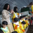 성모자애어린이집 이미지