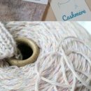 스프링가든 이미지