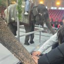 테마투어(목장 체험) | 제주투어패스 2일차 코스 일정 ｜성산 숙소에서 서귀포·애월까지 체험&amp;사진 여행