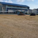 황지정보산업고등학교 | 태백 &#34;황지정보산업고등학교&#34; 운동장 잔디엣지 및 천연잔디시공 식재 현장 소개