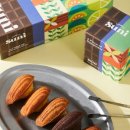 보문산로 이미지