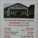 스파피닉스 이미지