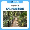 숲속아침 | 천년고찰 불모산 성주사 황토 곰숲길 맨발 걷기, 이른 아침 상쾌한 숲속 힐링 후기