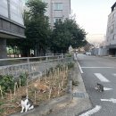 PC방가자 이미지