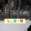 오기손길 이미지