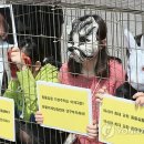 박지호 동물병원 이미지