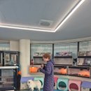 애견훈련소 보담 이미지