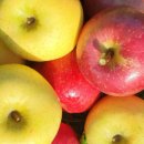 달콤한 사과이야기 이미지