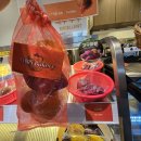 베이커리본 | 안양 빵지순례 범계 빵집 디저트 마스베이커리 구황작물빵 먹어본 후기