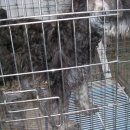 기라성볼링장 이미지