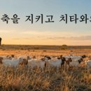 초원켄넬 네이버블로그