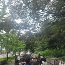 광복 80주년 전야제 후기 이미지