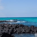 문화로소통-경주이야기 이미지