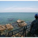 돌고래회집 이미지