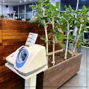 하나스포츠센터 이미지