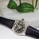 양지-3145 이미지