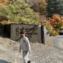 고령 캠핑장 숲에안기다 체험가능한 대구근교캠핑장 반려견동반캠핑장