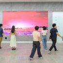 양천구청 이미지